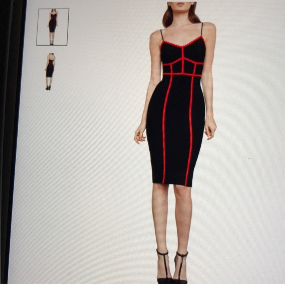 Bcbgmaxazira two toned bodycon dress